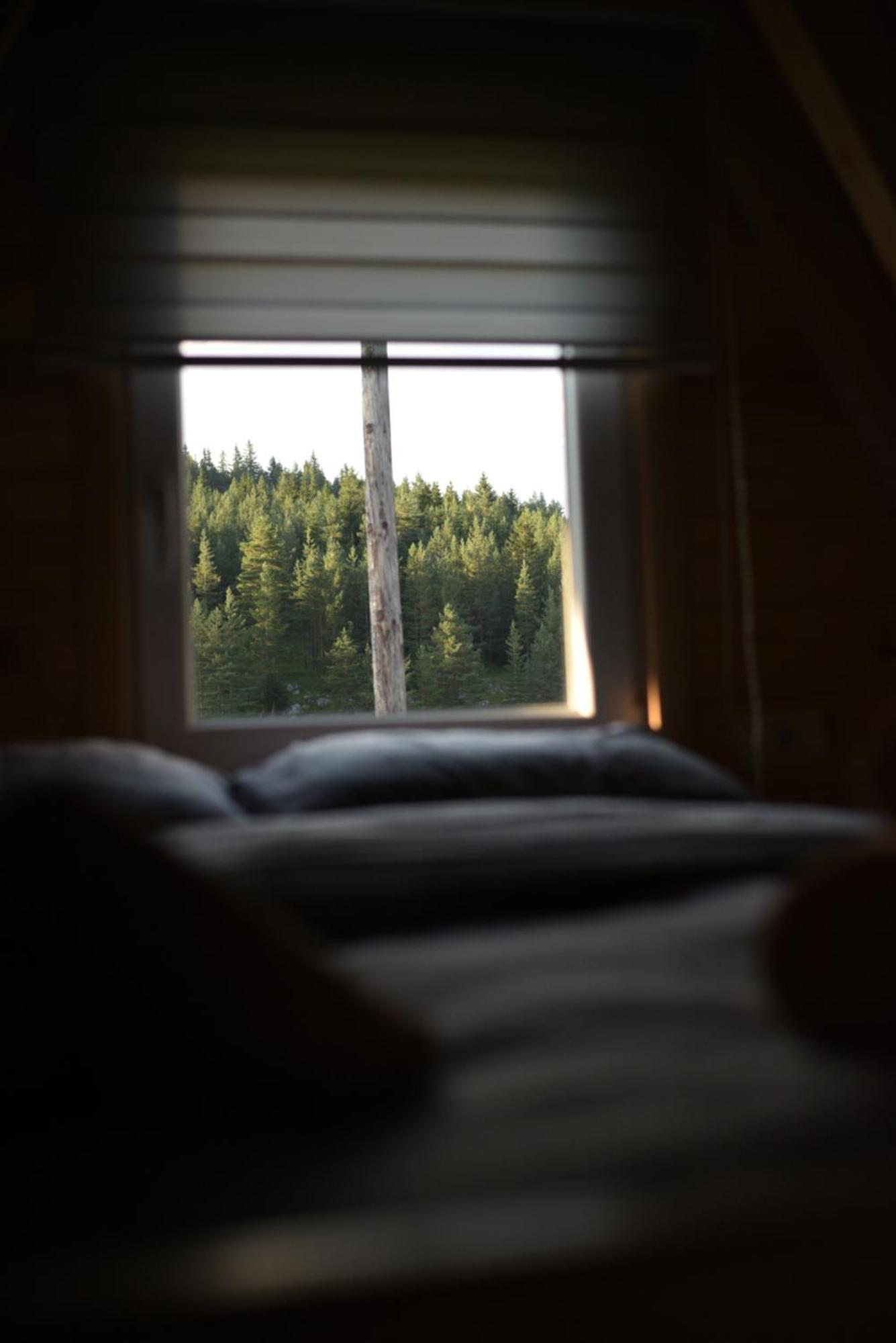 Mountain Paradise Cabins Žabljak Екстериор снимка